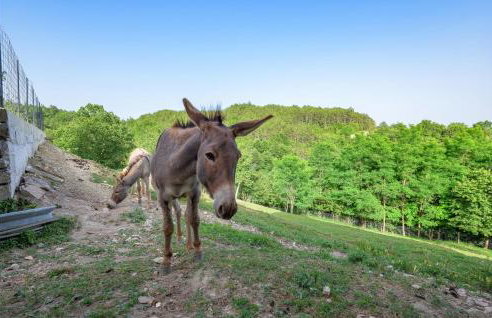 Cozy Apartment In Cerovlje With Wifi - Foto 23