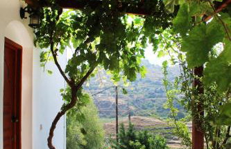 Ikaria Utopia - Cusco Studios - Photo 35