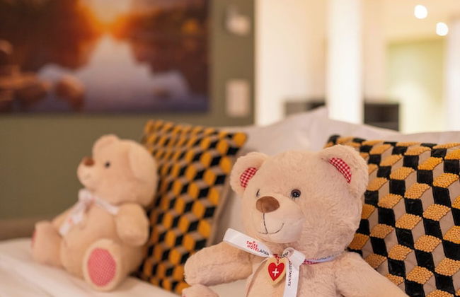 Swiss Hotel Apartments-Interlaken - Foto 50