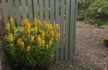 The old post office Callander holiday let - Foto 20