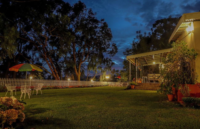 Rayne Forest - Foto 24