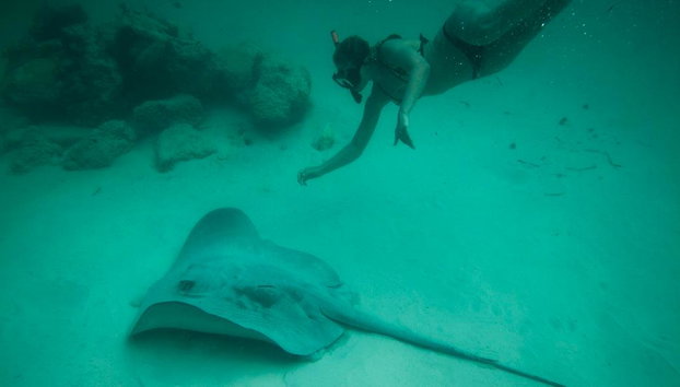 Seaquarium - Passeio de Catamarã - Foto 2