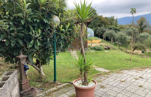 La casa nel verde con piscina - Photo 50