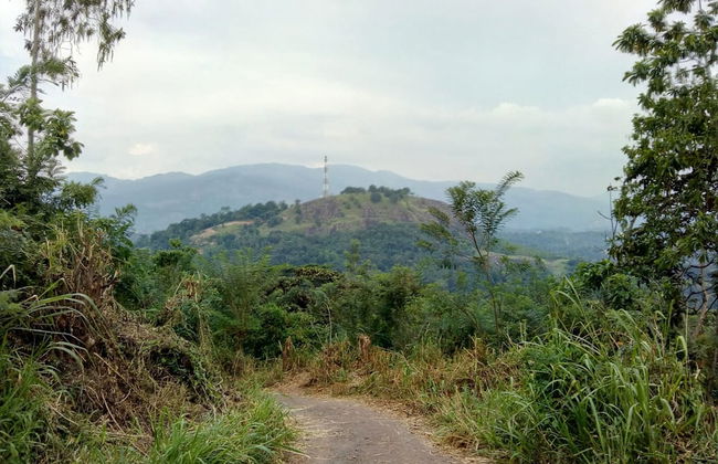 Captain's Bungalow - Foto 16