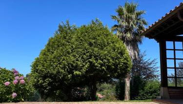 Casa La Bolera Casa de dos plantas porche y jardín - Foto 1, Garden