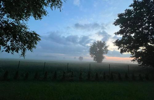 U Progu Lasu - Foto 68