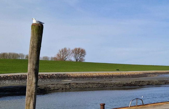 Pellworm Ostersiel 1 - Photo 13