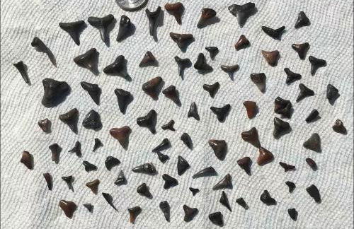 Peaceful Family Getaway in Venice - Foto 64