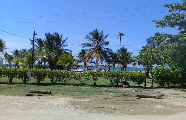 Las acacias Tolu - Foto 6