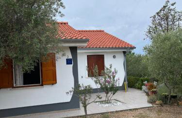 Apartman Ruža - Photo 57