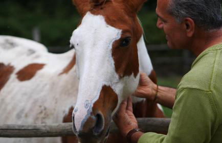 Villa Poggio Di Gaville - Foto 14