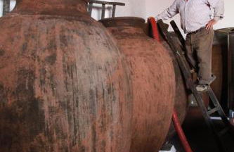 Casa dos Avós - Foto 39