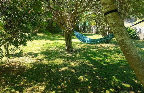 O Eido de Celia - Foto 19