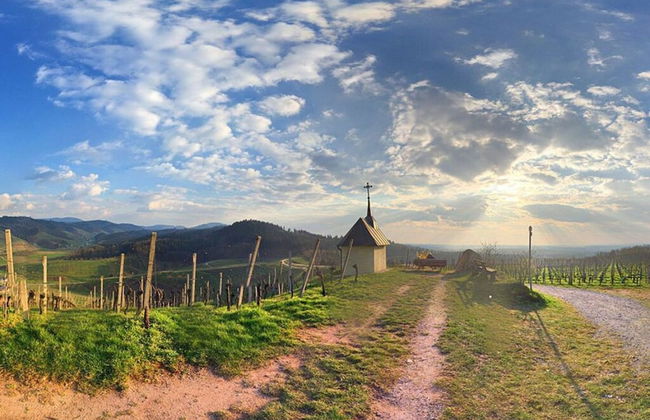 Apartment in Oberkirch - Foto 20