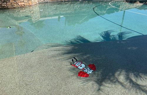 ULTIMATE BACKYARD-POOL/SPA. SLIDE. LAKEVIEW. BALL - Foto 29