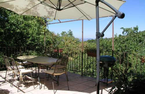 La maison jaune - Foto 8