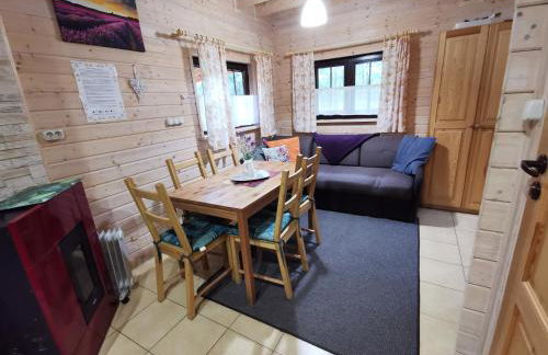 Domki Borowiackie nad brzegiem jeziora - Foto 39