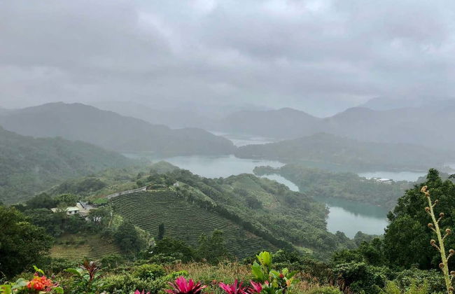 Tour do chá por Pinglin e Maokong - Foto 3