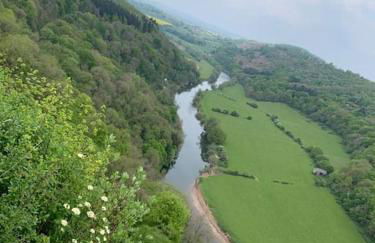 TheFunkyPigsty - Foto 39