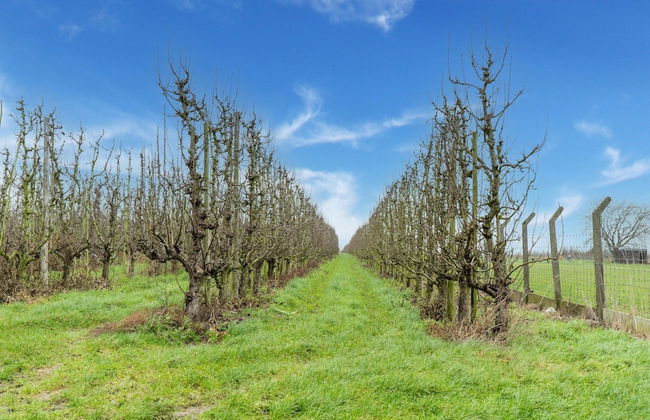 Zoutleeuw Home With Pool - Foto 33