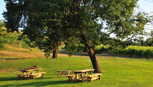Bosco dei Poveri - Foto 3