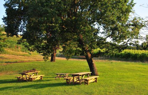 Bosco dei Poveri - Photo 3