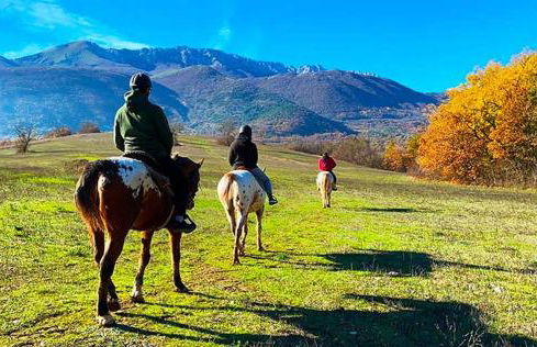 villa Grazia - Foto 25