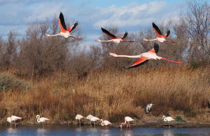 Le 255-côté jardin - Photo 15