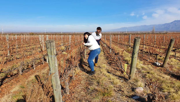 Maipú Wine Region Tour - Foto 5