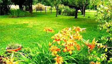 Gîte Villa LORTIN - Foto 2, Garden