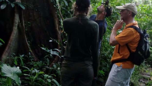 Conhecendo a fauna do Amazonas