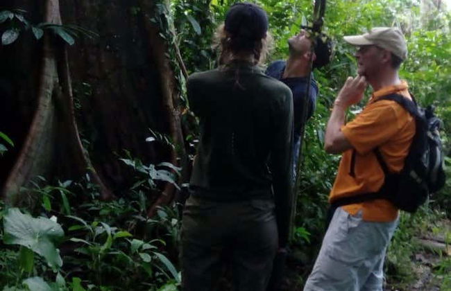 Trilha pela floresta amazônica - Foto 3
