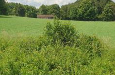 Gasthaus Zum Schneider - Foto 29