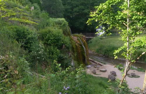 Ferienhof An der Lay - Foto 9