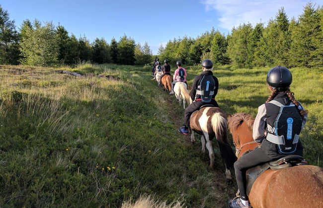 Finnsstaðir - Foto 6