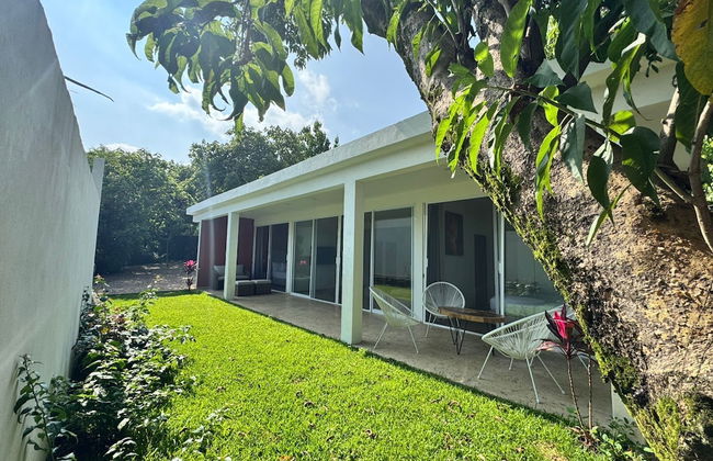 Bosque Geométrico - Photo 49