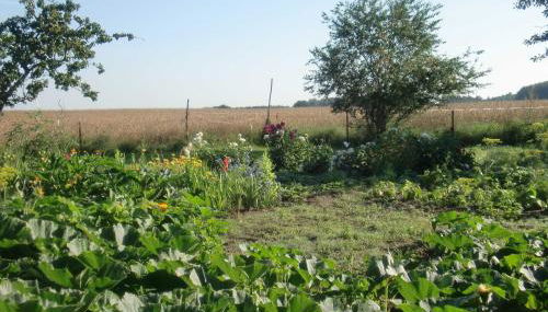 Ferienwohnung Reinecke Brigitte Re - Photo 2, Garden