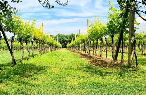 Residenza Eden - Foto 25