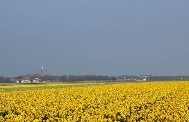 Mansion in De Cocksdorp - Foto 11