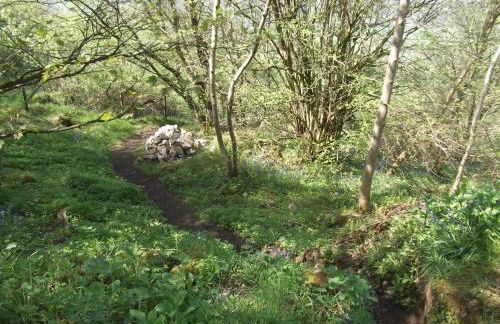 Hall Dale View near Matlock & Peak District - Photo 39