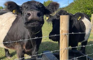 Mill Lodge - Photo 22