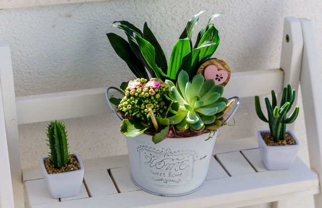 Magellan Deluxe Two - Foto 31