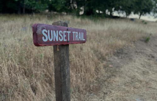 NEW LISTING, Near Yosemite South Gate entrance and town, King bed, Hot Tub, BBQ, Firepit & Mountain Views - Foto 40