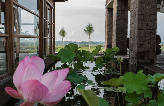 Alami Boutique Villas & Resort - Foto 63