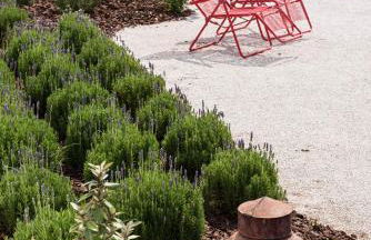 Pensão Agrícola - Foto 30