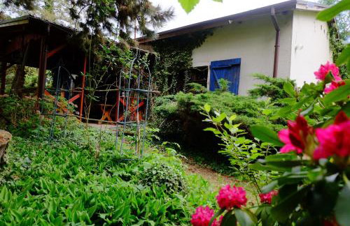 Chata pod Żurawiem - Foto 19