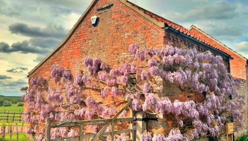 Finest Retreats - Wisteria at The Rookery - Foto 4