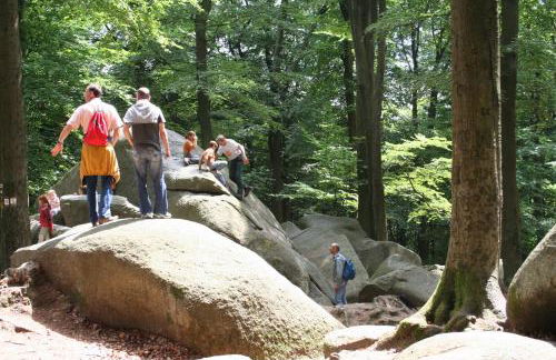 Design-Wohnungen by Ulrike Horster - Foto 51