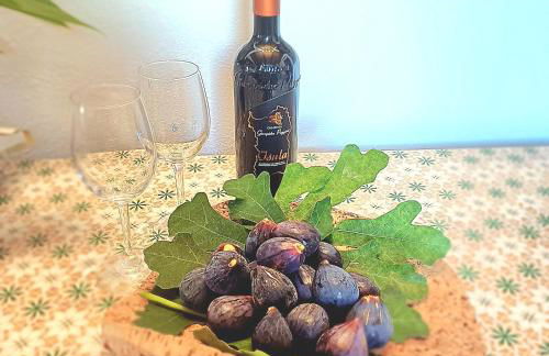 Sole Melis - Foto 18