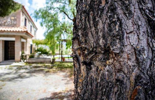 Caserío Lo Bulle - Foto 69